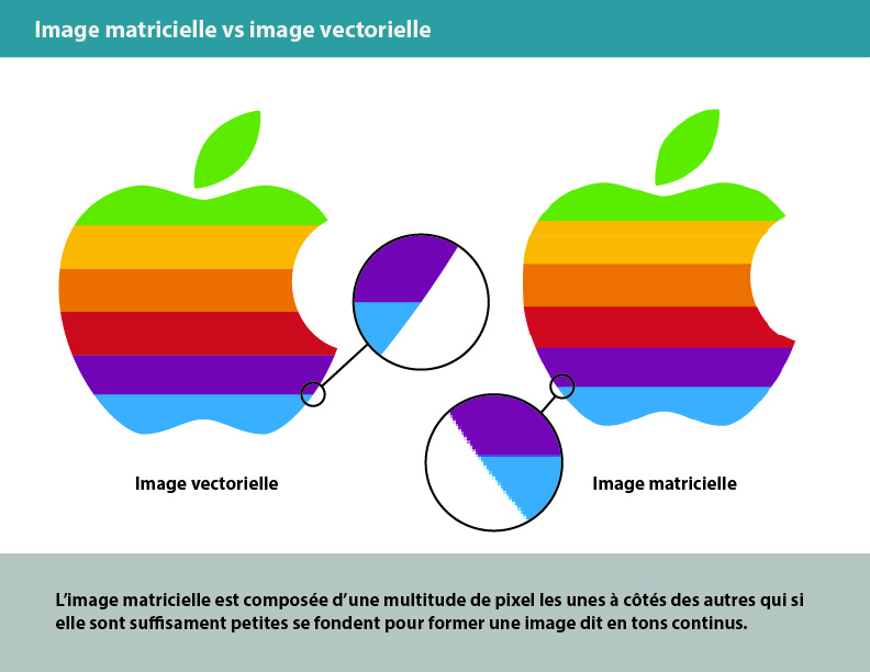 image matricielle vs image vectorielle